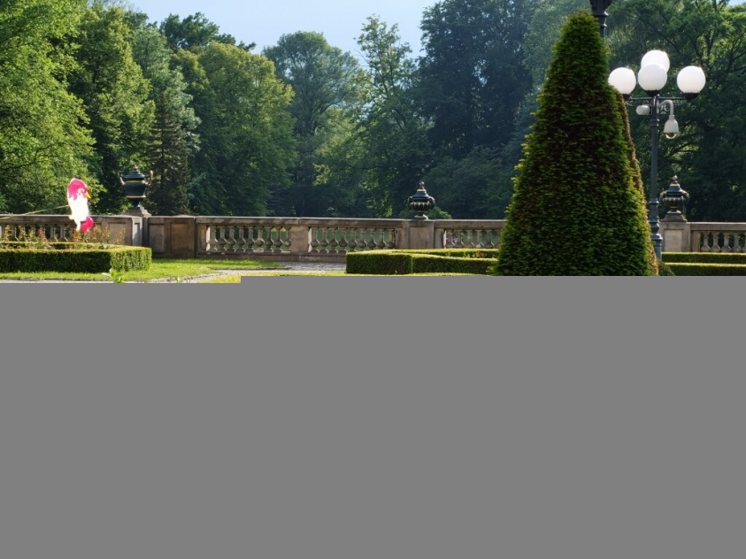 IMG 20200611 182251 Średni