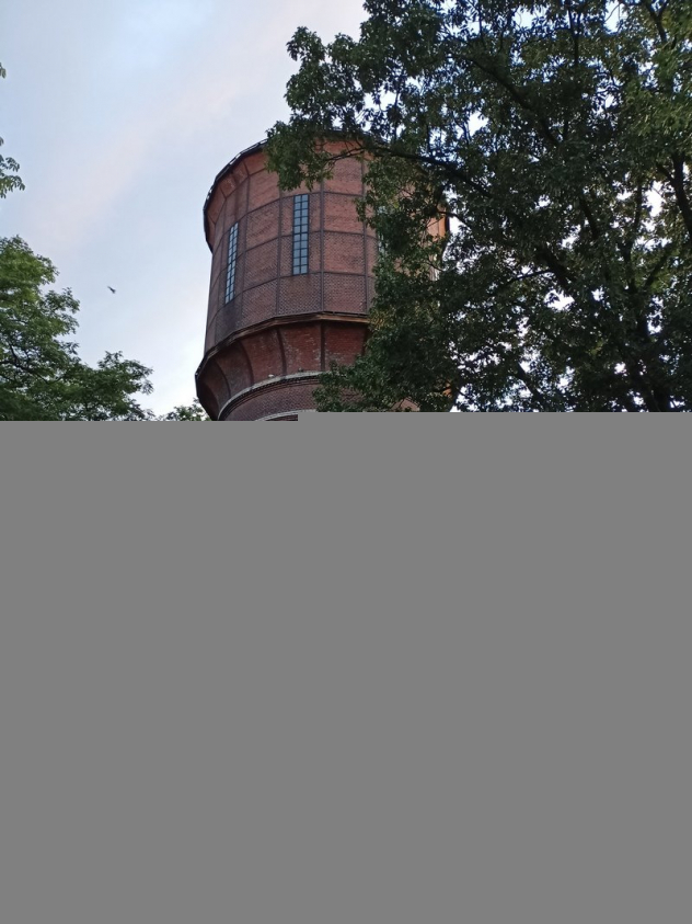 IMG20200623204134 mini