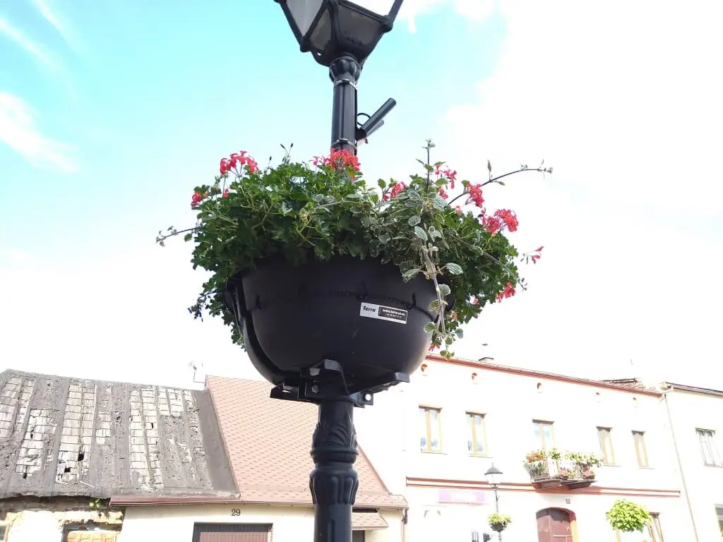 SonyXperia10MarkII 0037 Średni