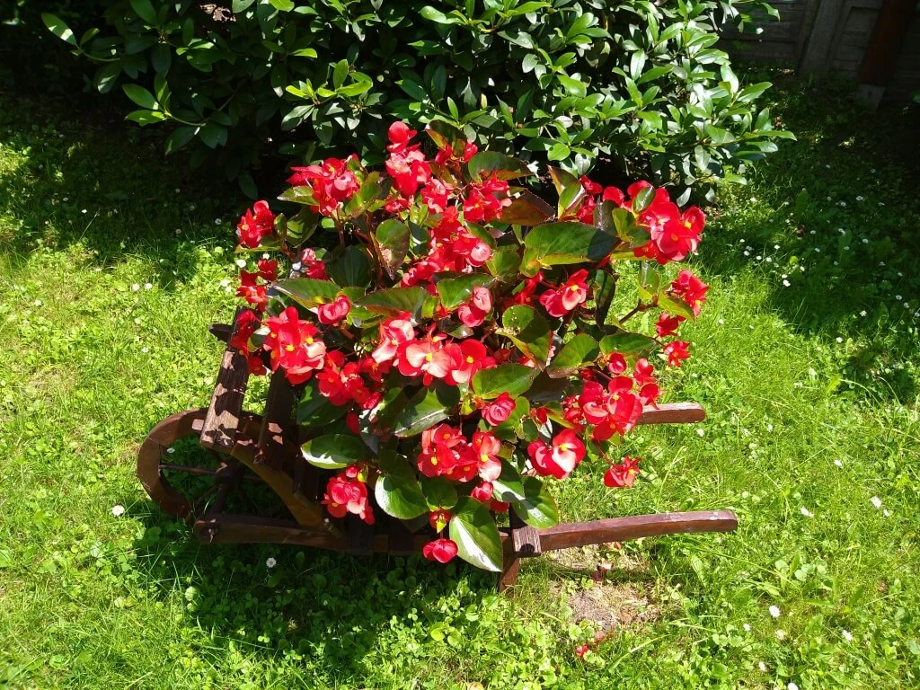 SonyXperia10MarkII 0041 Średni