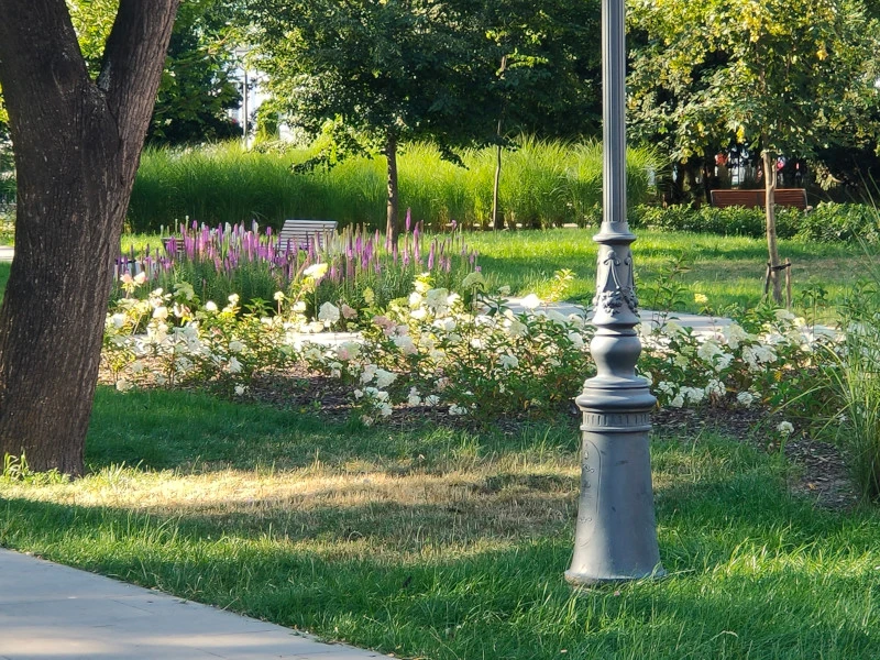 Oppo Reno3 Pro aparat