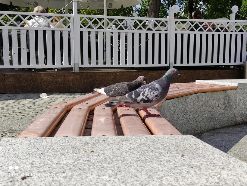 IMG 20200907 134507 mini