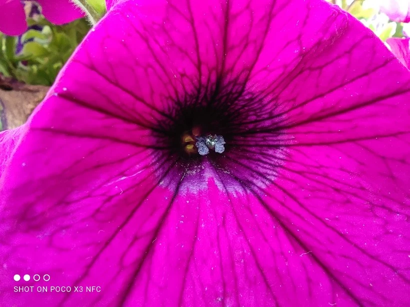 IMG 20200907 135903 mini