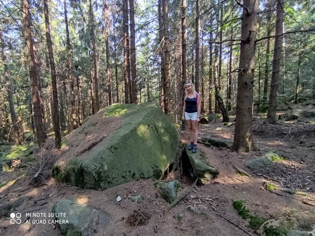 xiaomi mi 10 note lite20200809 104648 Średni przykladowe zdjecia