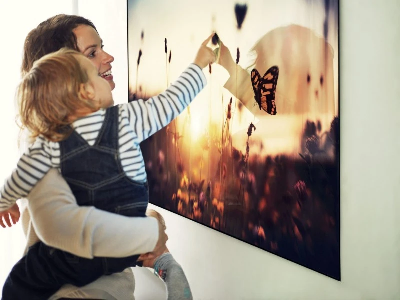 LG OLED W7