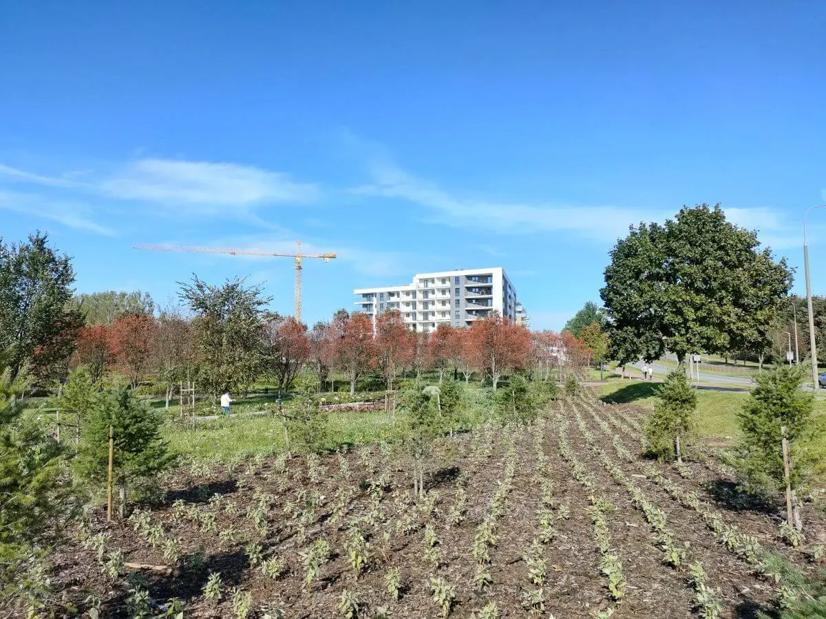 OPPO Reno4 Pro test recenzja sample 13