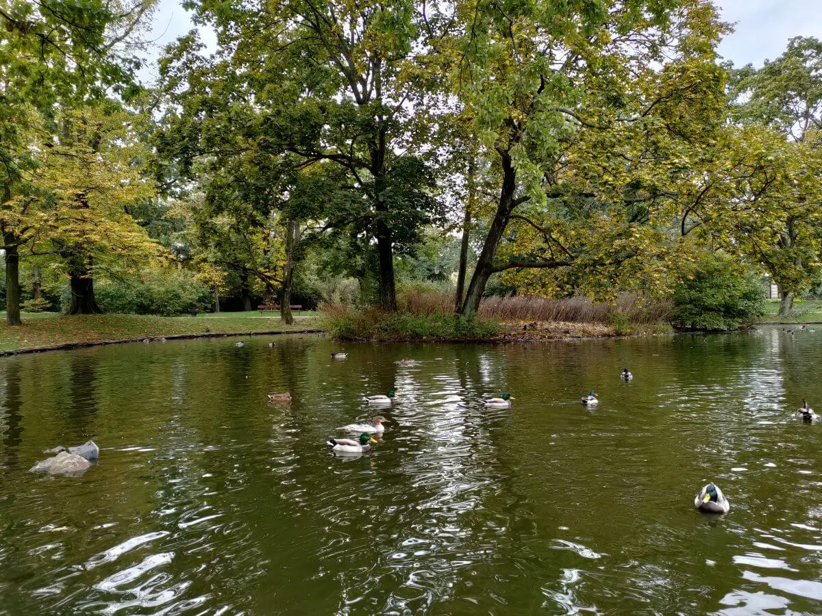 realme 7 pro recenzja test