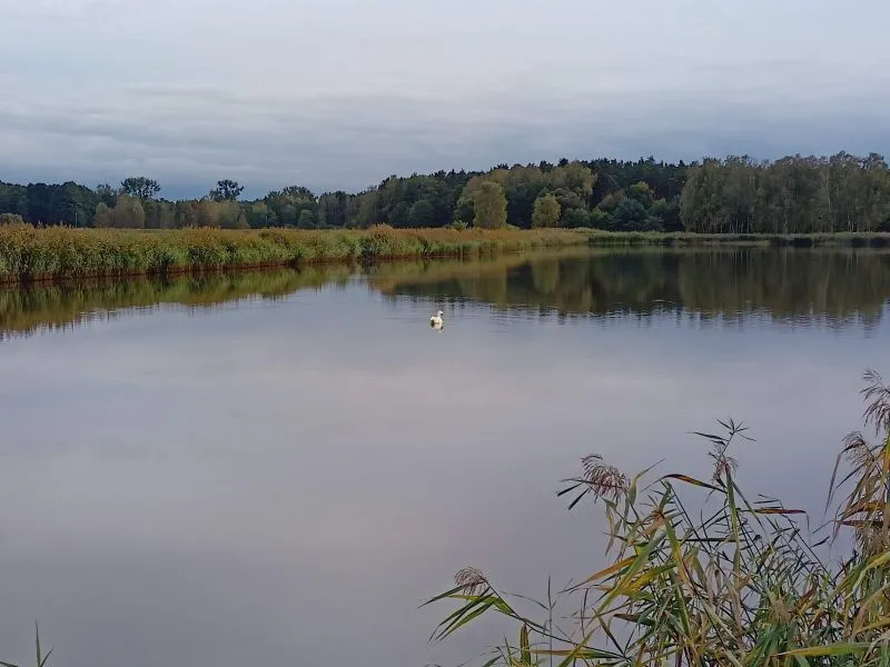 IMG20200927171955 00