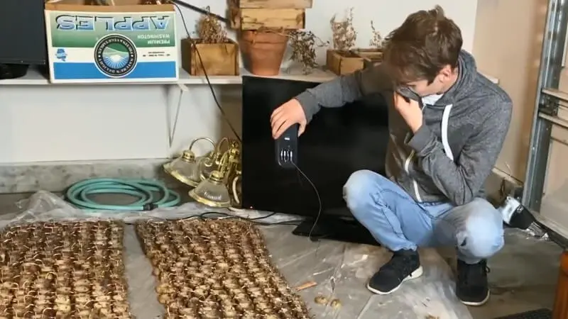 Doom na TI-84 i ziemniakach