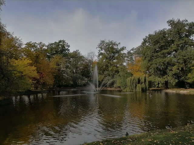 sample p smart 20201020 132821