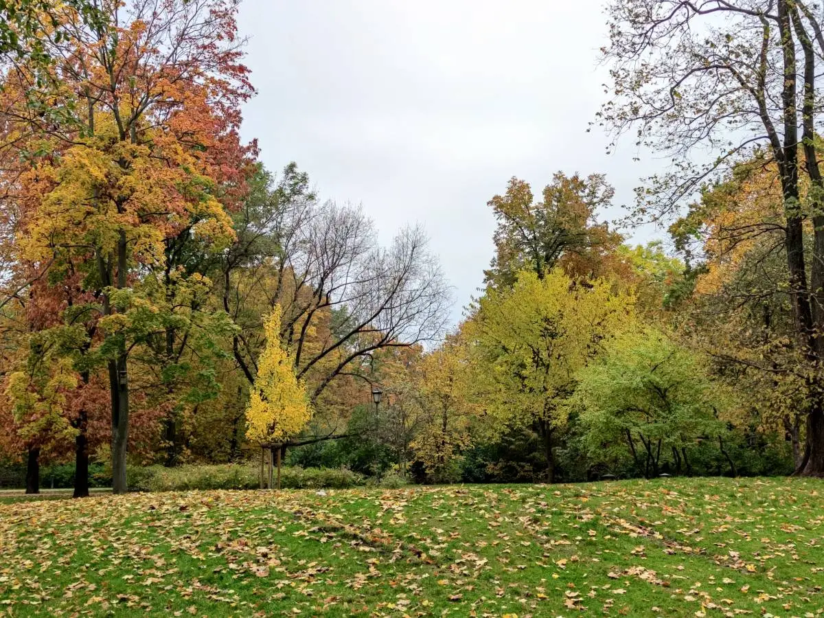 Xiaomi Mi 10T Pro recenzja test