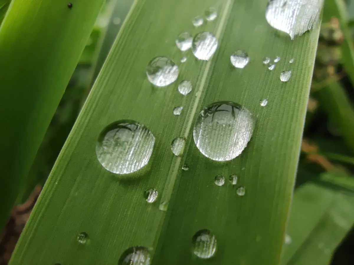 Xiaomi Mi 10T Pro recenzja test