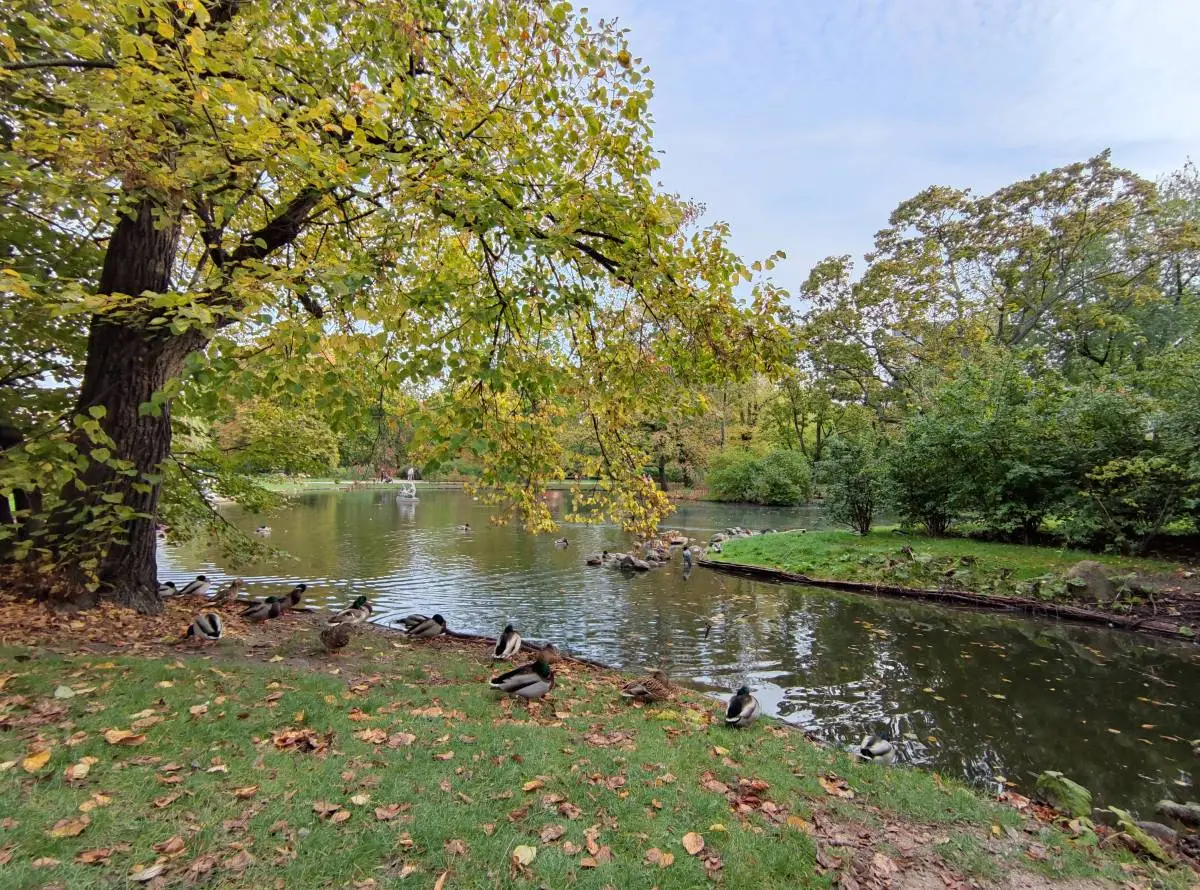 Xiaomi Mi 10T Pro recenzja test