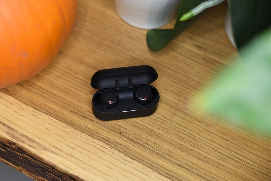 Panasonic True Wireless RZ-S500W 9