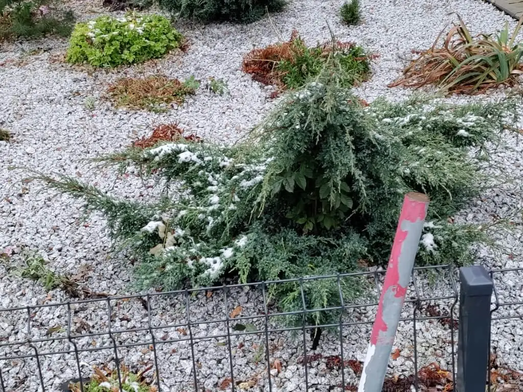 IMG 20201130 131234 Średni