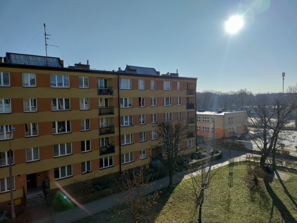 IMG 20201201 105022 sredni