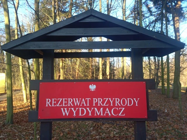 Hammer Blade 33 20201220 115238 2