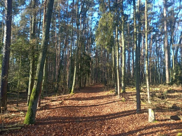 Hammer Blade 33 20201220 115755 0