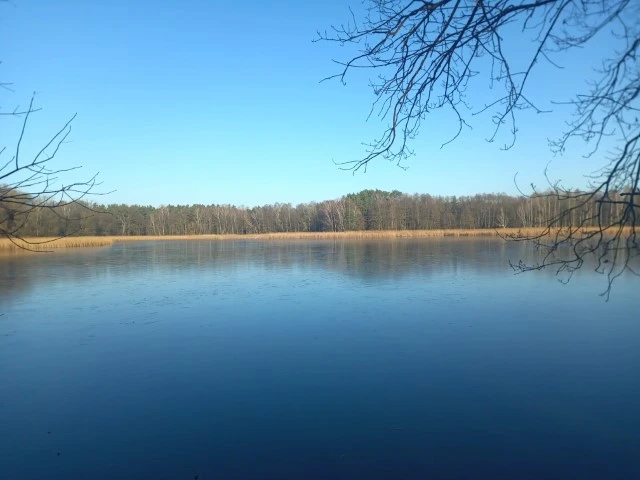 Hammer Blade 33 20201220 120218 8