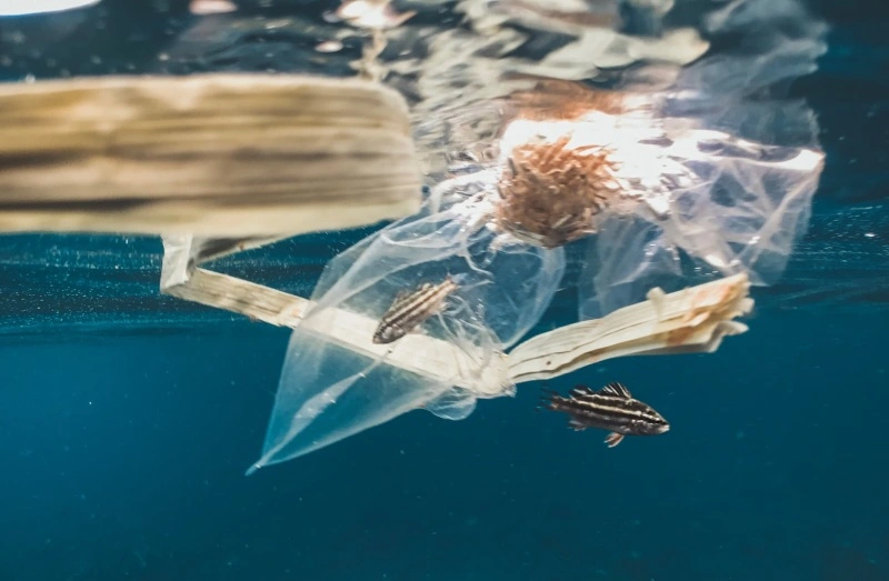 ocean-odpady