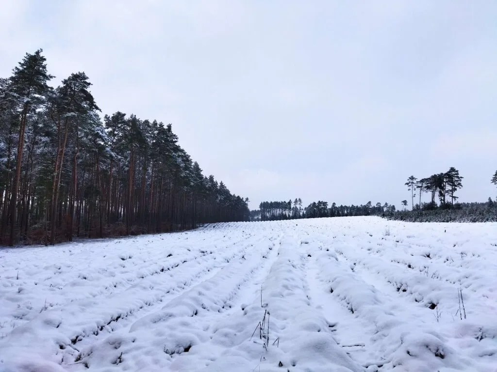 POCOM3 20210114 143035