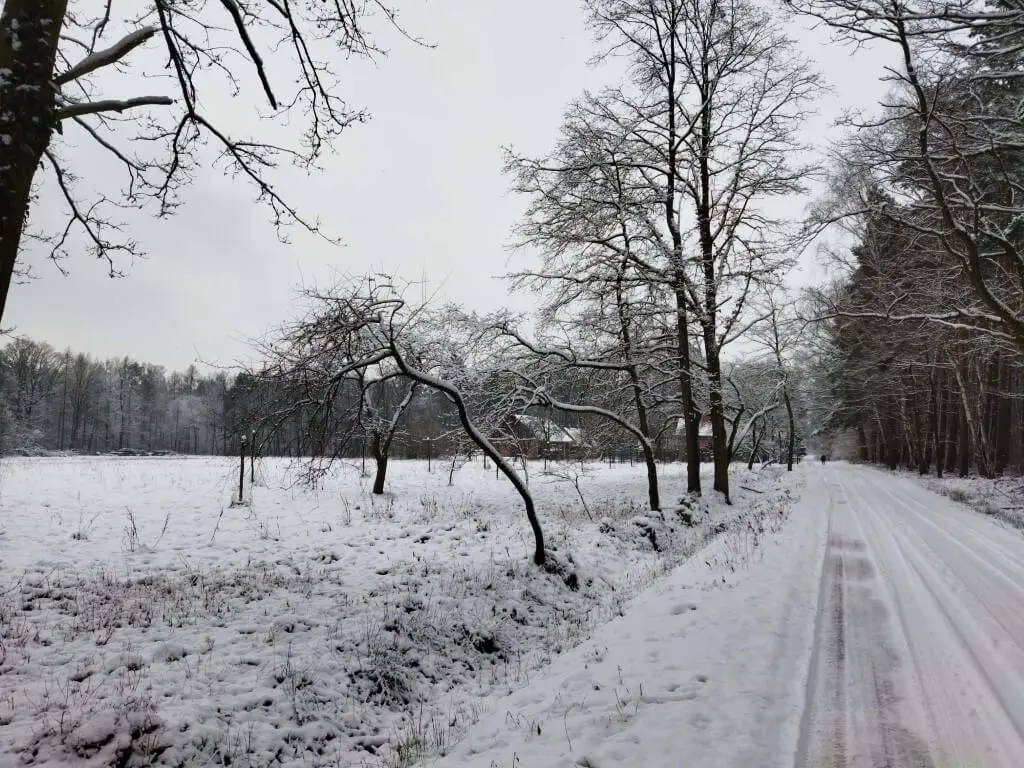 POCOM3 20210114 145036