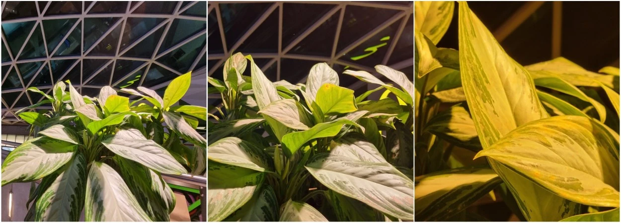 Samsung Galaxy S21 pierwsze wrazenia 11