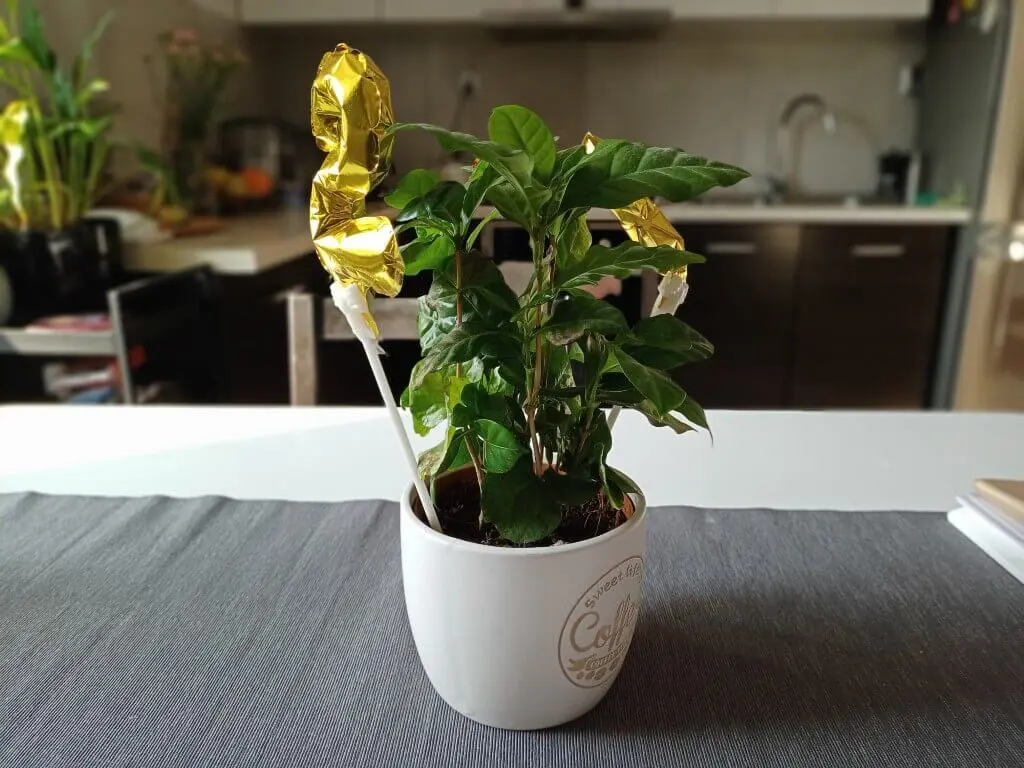 Realme 7ifoto20210117103033