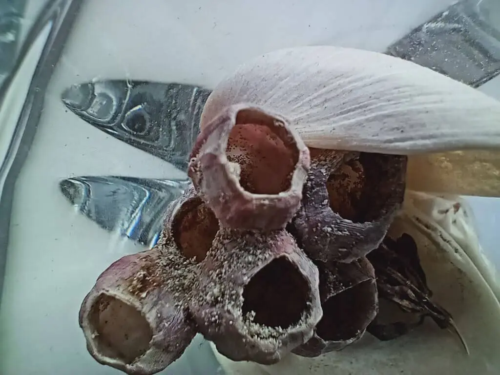 Realme 7ifoto20210120151109