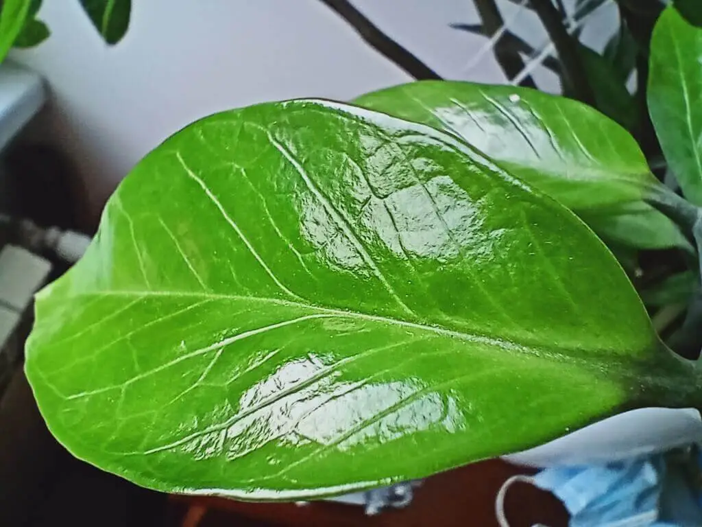 Realme 7ifoto20210120151221