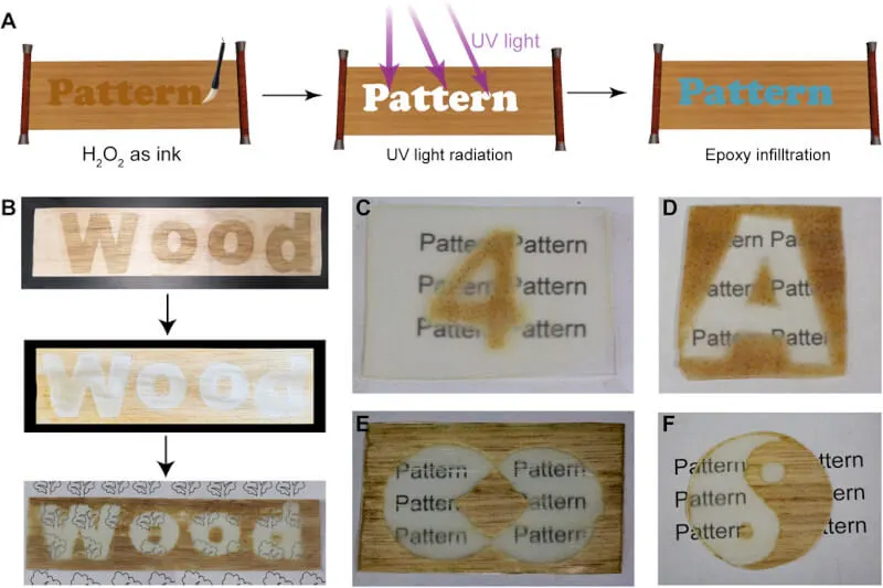 Przezroczyste drewno