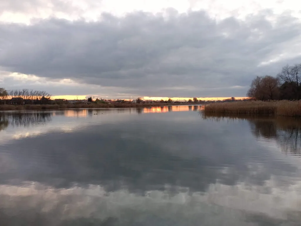 OPPO RENO4LITE20201128154259