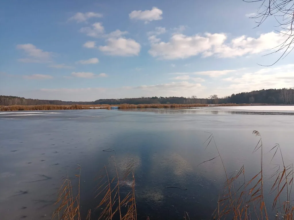 OPPO RENO4LITE20210131141043 BURST000 COVER