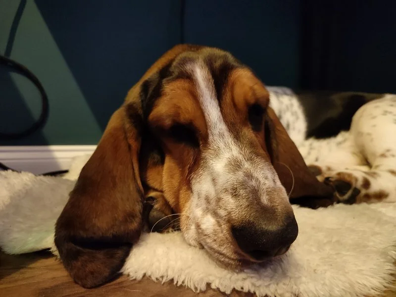 IMG 20210306 132557 mini