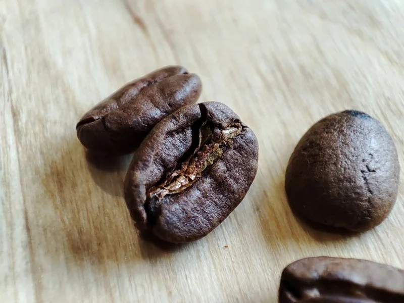 IMG 20210306 154832 mini