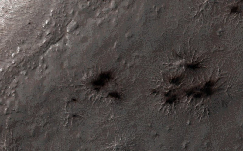 mars-pajaki-2