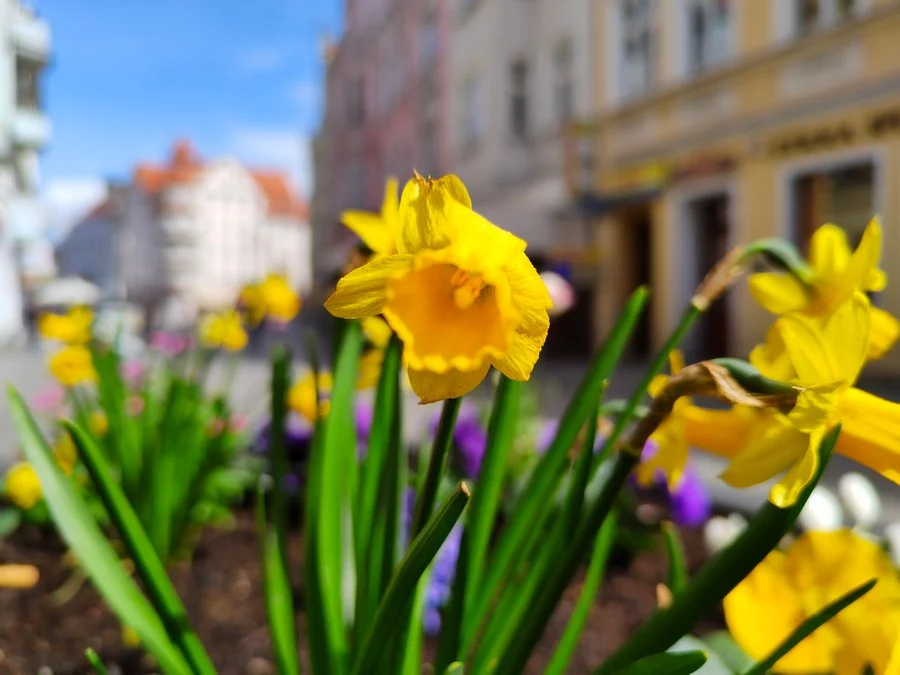 IMG20210406134549 mini