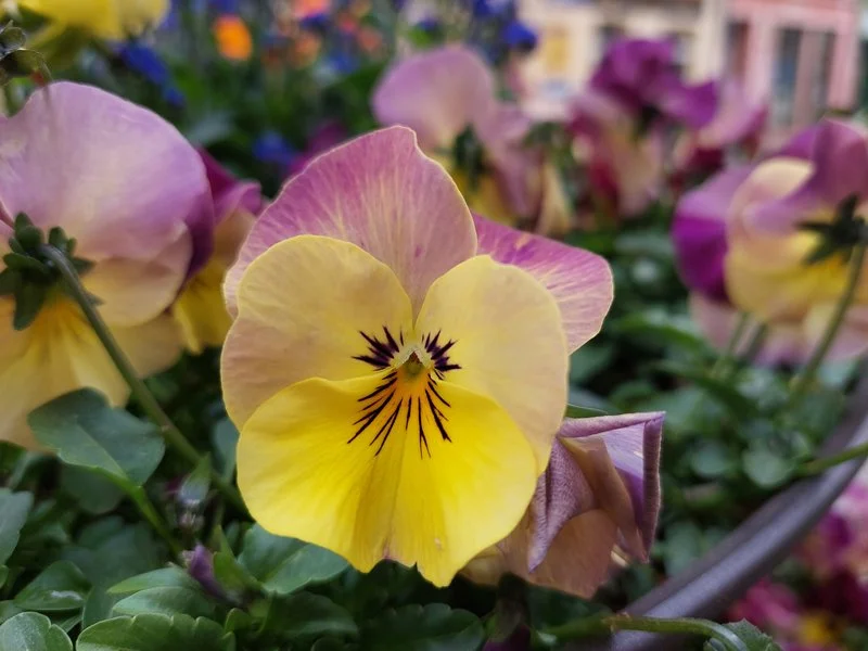 20210429 141205 mini