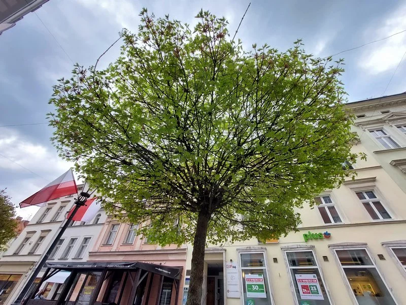 20210429 141232 mini