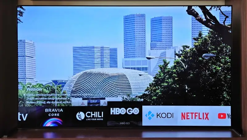 Sony OLED 65” A90J – japoński samuraj kategorii Master