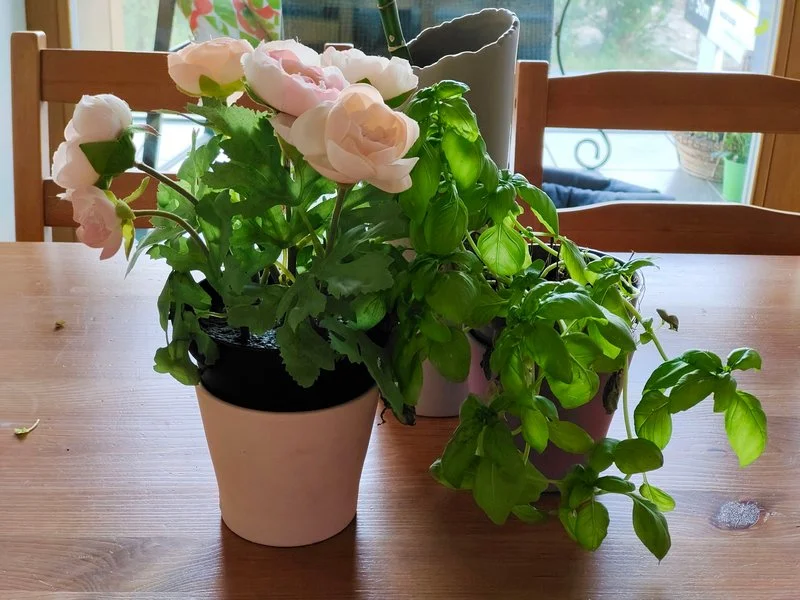 IMG 20210630 203117 mini