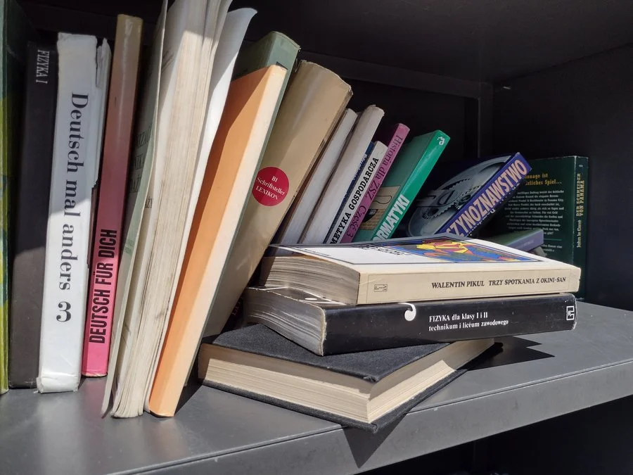 IMG 20210727 135324632 HDR mini