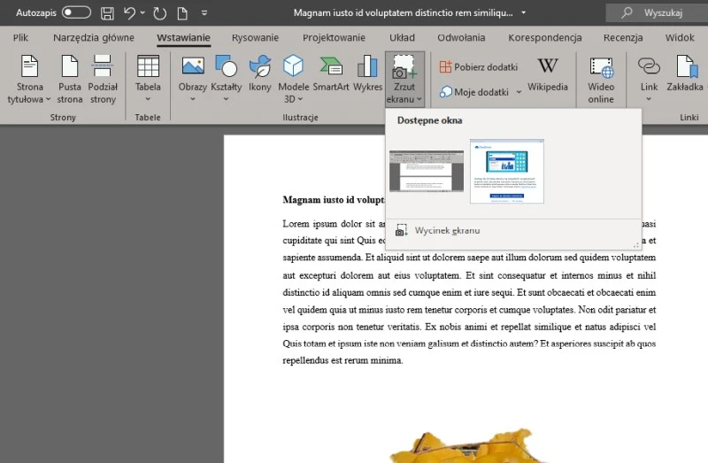 word-zrzut-ekranu