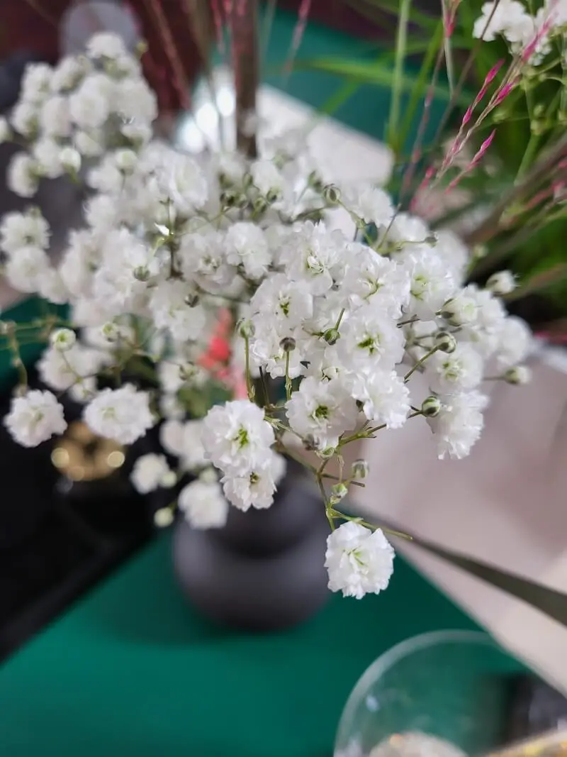 20210810 172626 053113 mini