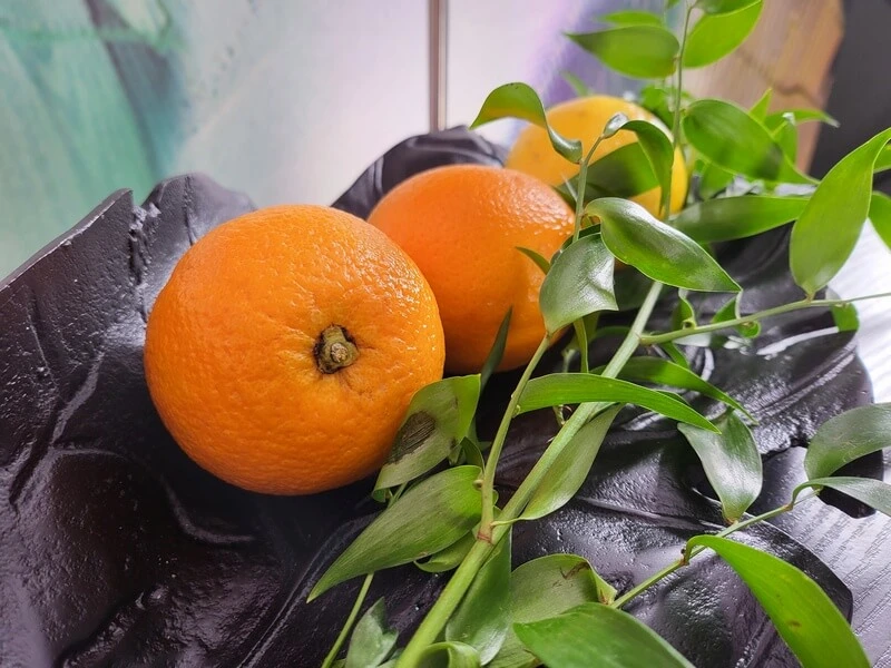 20210810 172716 053037 mini