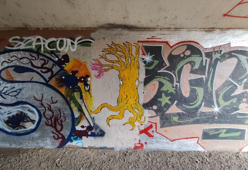 Test Xiaomi Mi 11 Lite 5G