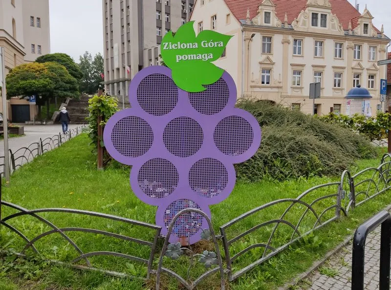 IMG 20210923 115854 mini