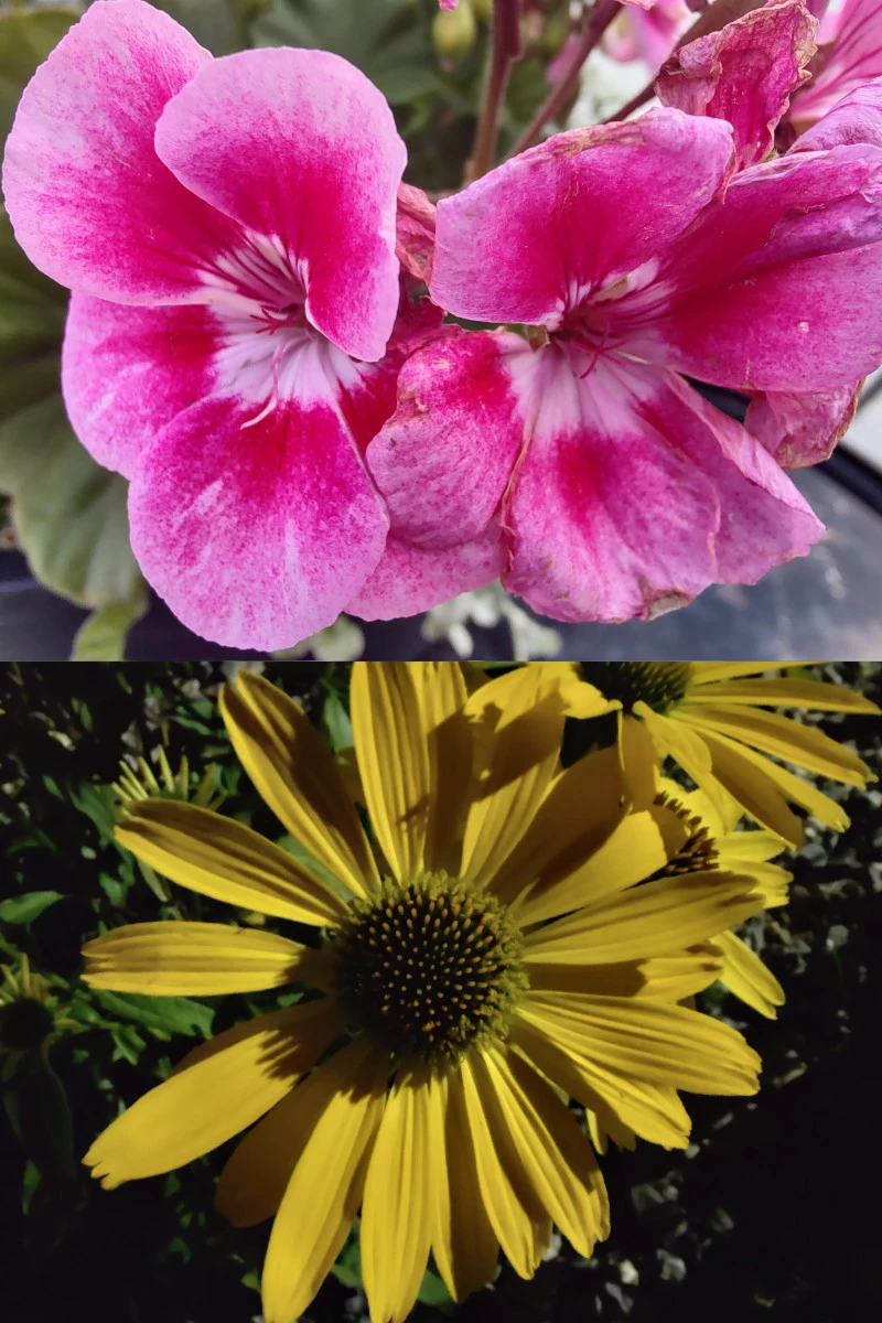 Motorola Edge 20 Pro