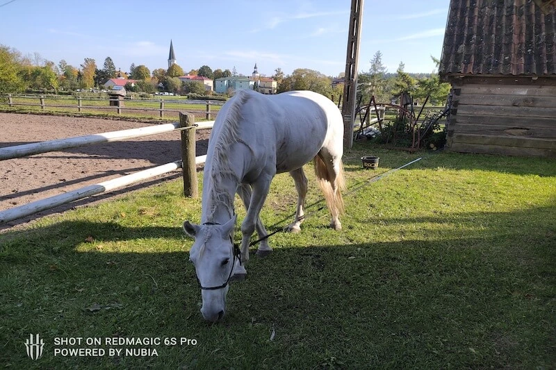 Nubia RedMagic 6S Pro