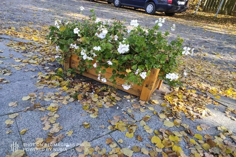 Nubia RedMagic 6S Pro